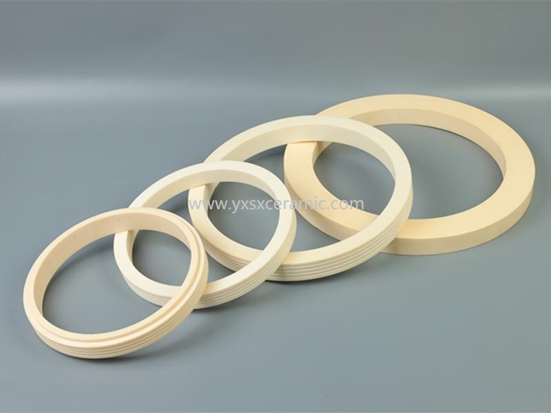 Shenxing Keramikpumpe, Gleitring aus 99% Aluminiumoxid-Keramik - Yixing Shenxing